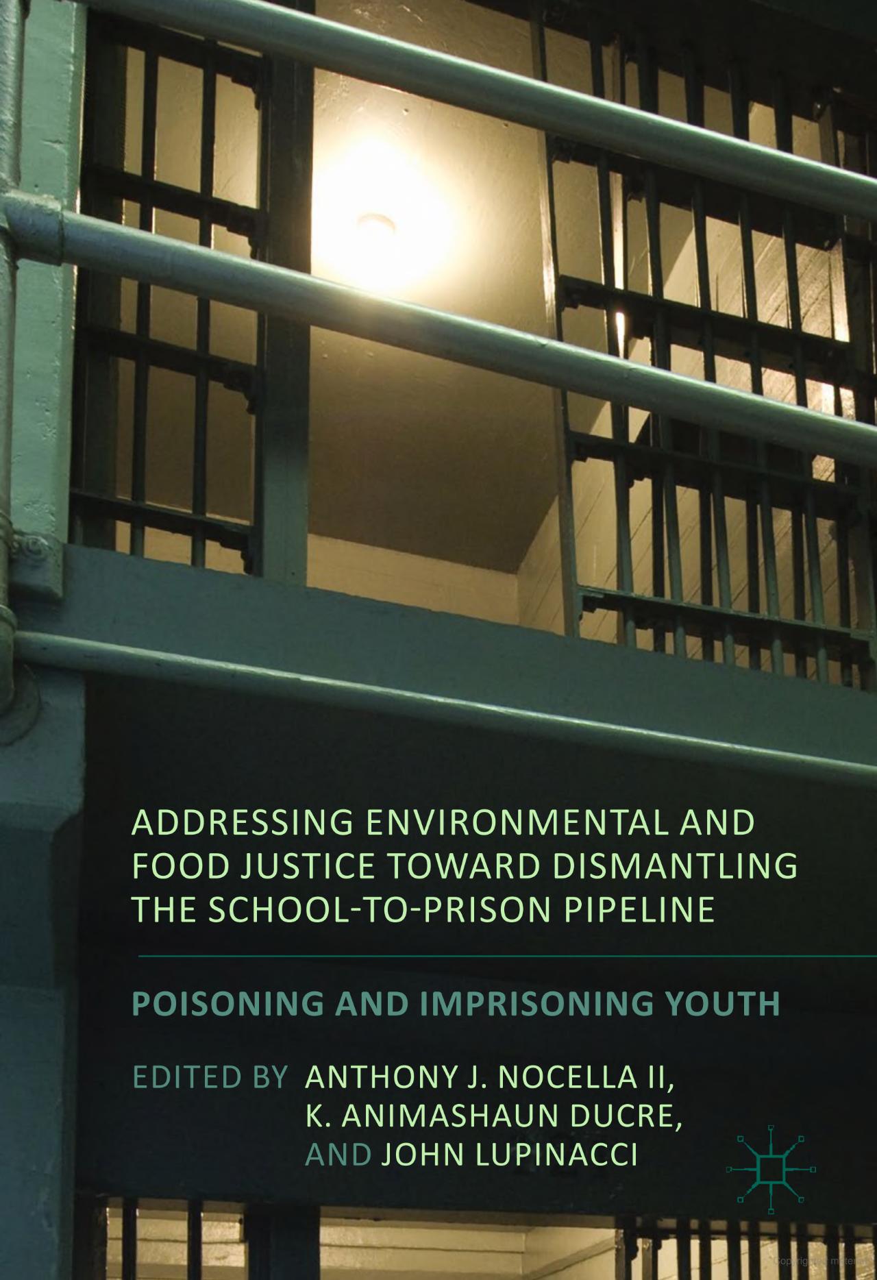 Book cover for School to Prison Pipeline by Kishi Ducre